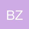 brandon_z517